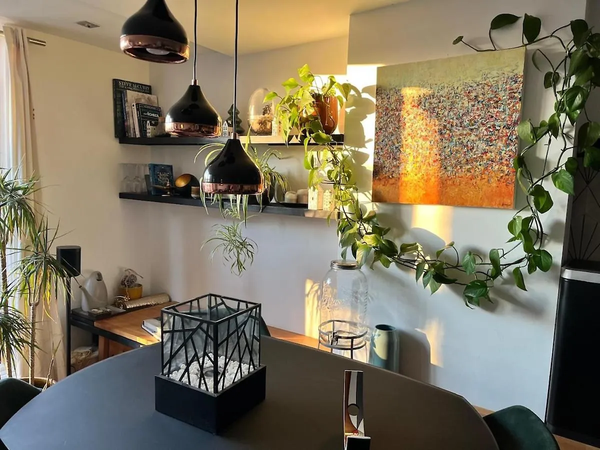 Spacious Apartment With Roofterrace By Vondelpark Amsterdam