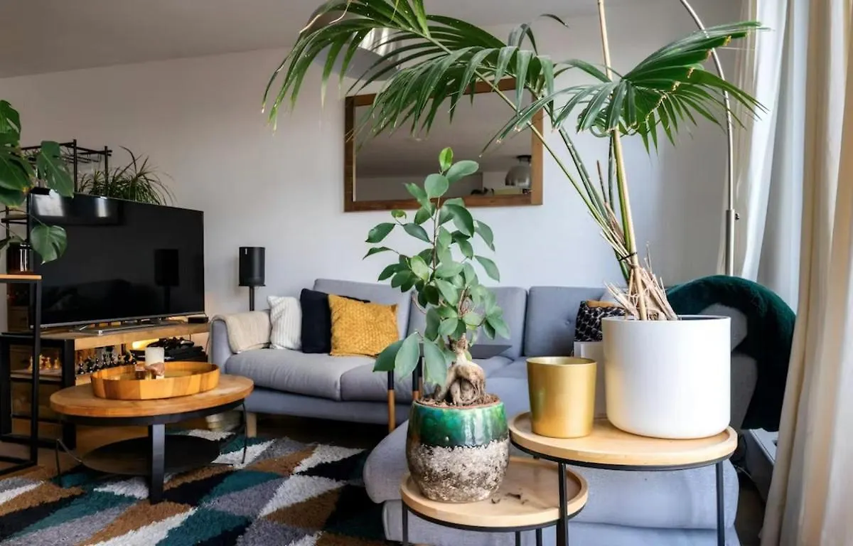 Spacious Apartment With Roofterrace By Vondelpark Amsterdam